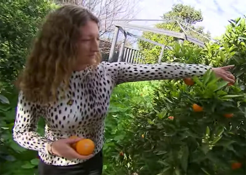 Vegan slaat door het lint vanwege barbecuegeur van buren