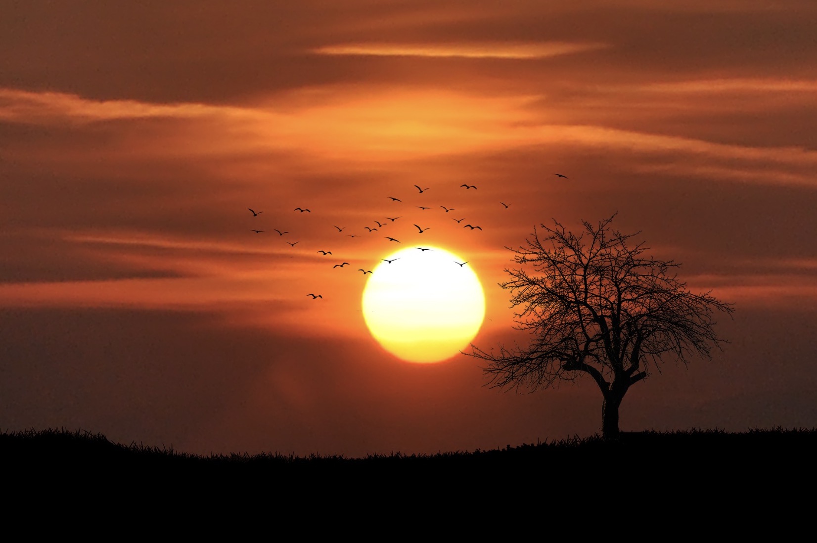 Wetenschappers waarschuwen: Dit is wanneer de zon dooft en aarde vergaat