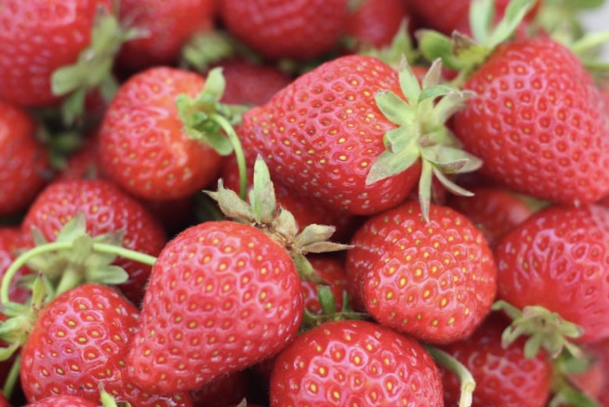 Met dit trucje blijven jouw aardbeien langer vers in koelkast