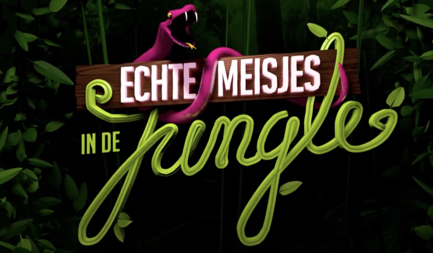 Ophef bij Echte Meisjes in de Jungle: Deelnemer opgepakt en opgesloten!