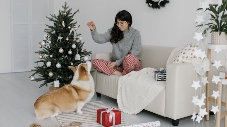 Pas op met je geliefde huisdieren, dit moet je weten over kerstbomen!